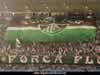 TORCIDA ORGANIZADA FORÇA FLU