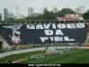 GAVIÕES DA FIEL TORCIDA