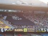 FÚRIA JOVEM DO BOTAFOGO
