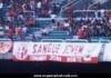 SANGUE JOVEM DO AMÉRICA
