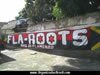 FLA-ROOTS