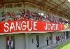 SANGUE JOVEM DO AMÉRICA