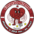 TORCIDA CORAÇÃO GRENÁ