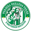 torcida organizada comando verde