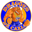 TORCIDA ORGANIZADA DRAGÕES DE CAXIAS