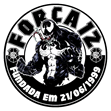 TORCIDA ORGANIZADA FORÇA 12