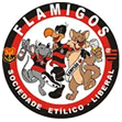 TORCIDA FLAMIGOS