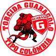 TORCIDA GUARAGOLO