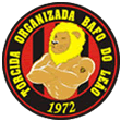 torcida organizada bafo do le�o