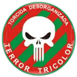 TORCIDA DESORGANIZADA TERROR TRICOLOR