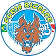 torcida organizada f�ria bicolor