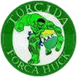 torcida for&ccedil;a verde