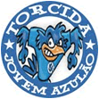 torcida jovem do azul�o