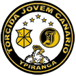 torcida jovem can�rio