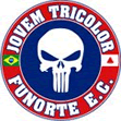 TORCIDA JOVEM TRICOLOR