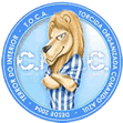 torcida organizada comando azul