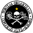 TORCIDA ORGANIZADA COMANDO ALVI-NEGRO