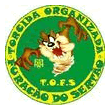 torcida organizada furac&atilde;o do sert&atilde;o
