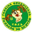 TORCIDA ORGANIZADA FURACÃO DO SERTÃO