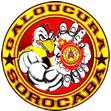 torcida organizada galoucura