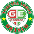 TORCIDA LOBOS DE OSASCO