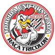 TORCIDA UNIFORMIZADA RAÇA TRICOLOR