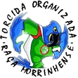 torcida organizada ra�a morrinhense