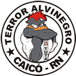 torcida uniformizada terror alvinegro 