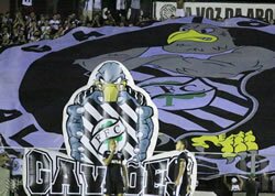 Foto do Mês